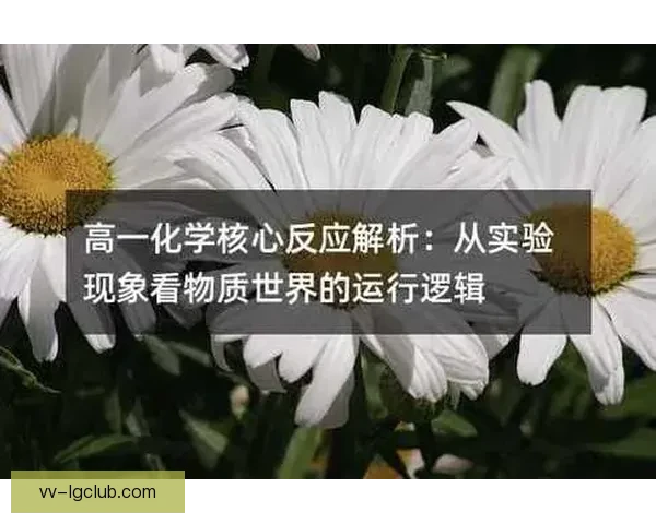 国家队最新大名单深度解析揭示阵容思路战术走向与用人逻辑变化